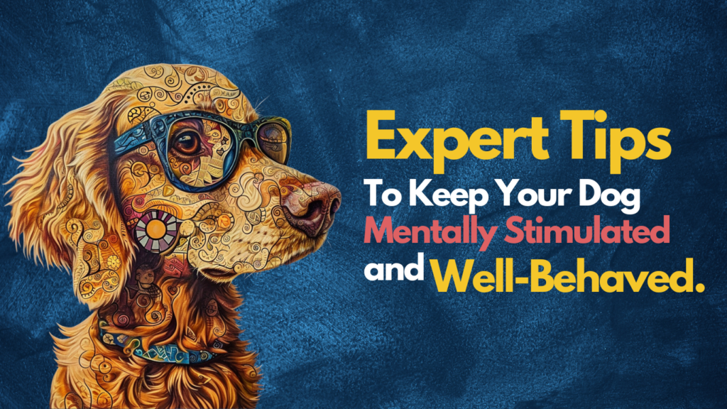 nleash Your Pup's Inner Genius: Expert Tips for a Mentally Stimulated and Well-Behaved Dog